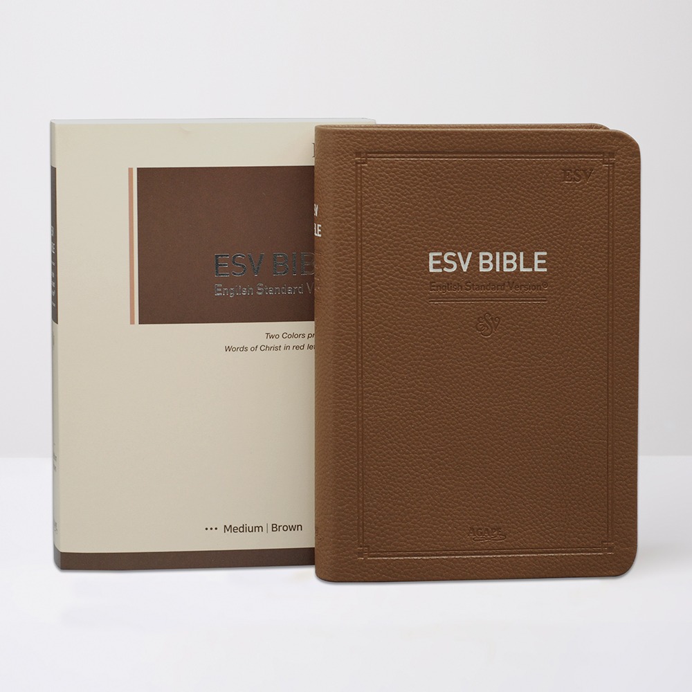 영문 ESV BIBLE 중 단본 무지퍼 브라운 영어성경책